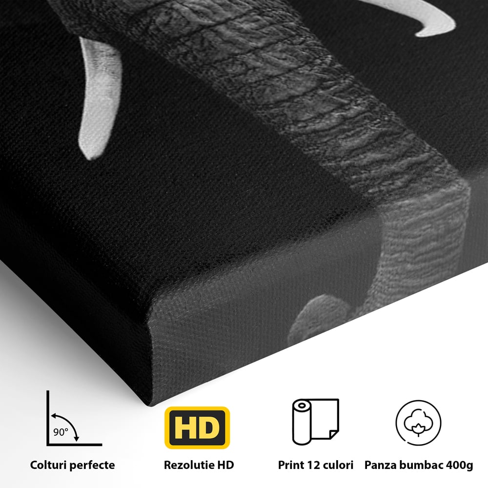 Tablou Canvas Premium, LuxCanva® M1310, Axa Puterii, Alb si Negru, Portret, Impunator, Realist, Elefant, Colti, Trompa, Animal, Simplitate, Vertical, Birou, Living, Camera Copil
