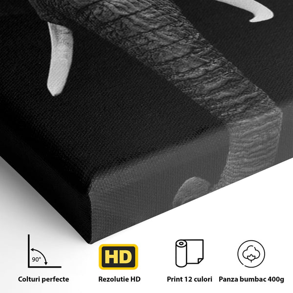 Tablou Canvas Premium, LuxCanva® M1310, Axa Puterii, Alb si Negru, Portret, Impunator, Realist, Elefant, Colti, Trompa, Animal, Simplitate, Vertical, Birou, Living, Camera Copil