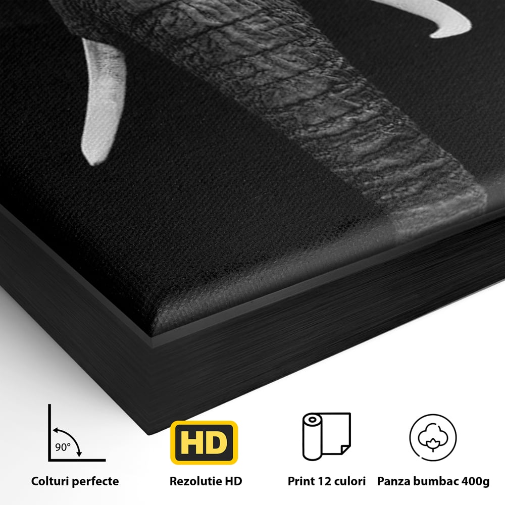 Tablou Canvas Premium, LuxCanva® M1310, Axa Puterii, Alb si Negru, Portret, Impunator, Realist, Elefant, Colti, Trompa, Animal, Simplitate, Vertical, Birou, Living, Camera Copil