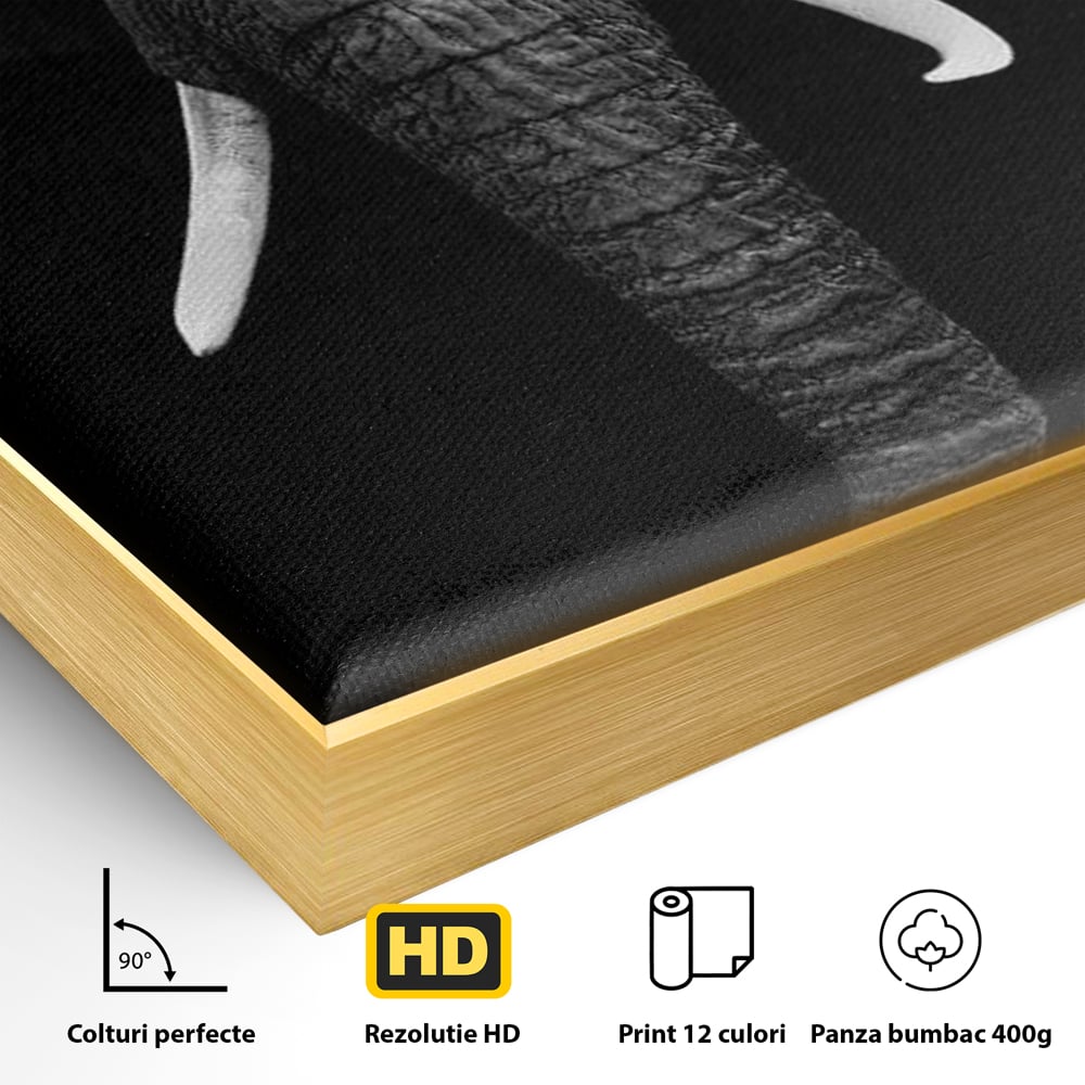 Tablou Canvas Premium, LuxCanva® M1310, Axa Puterii, Alb si Negru, Portret, Impunator, Realist, Elefant, Colti, Trompa, Animal, Simplitate, Vertical, Birou, Living, Camera Copil
