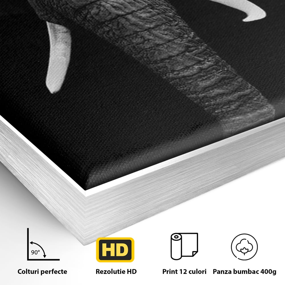 Tablou Canvas Premium, LuxCanva® M1310, Axa Puterii, Alb si Negru, Portret, Impunator, Realist, Elefant, Colti, Trompa, Animal, Simplitate, Vertical, Birou, Living, Camera Copil