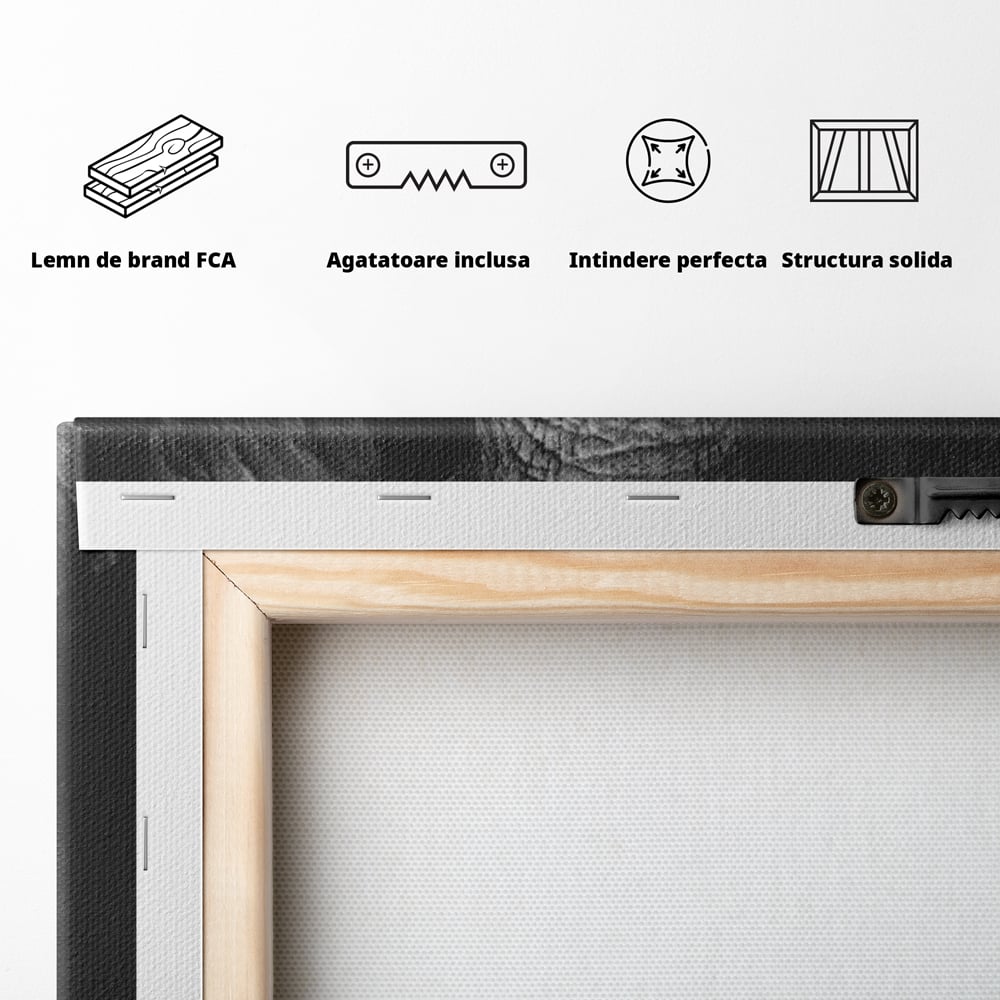 Tablou Canvas Premium, LuxCanva® M1310, Axa Puterii, Alb si Negru, Portret, Impunator, Realist, Elefant, Colti, Trompa, Animal, Simplitate, Vertical, Birou, Living, Camera Copil
