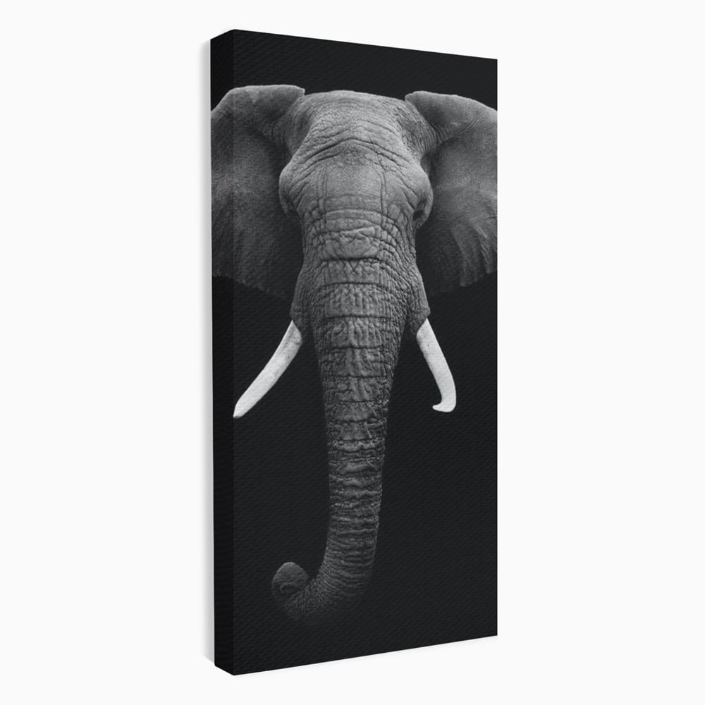 Tablou Canvas Premium, LuxCanva® M1310, Axa Puterii, Alb si Negru, Portret, Impunator, Realist, Elefant, Colti, Trompa, Animal, Simplitate, Vertical, Birou, Living, Camera Copil