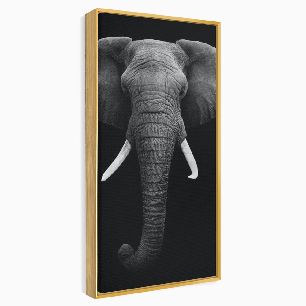 Tablou Canvas Premium, LuxCanva® M1310, Axa Puterii, Alb si Negru, Portret, Impunator, Realist, Elefant, Colti, Trompa, Animal, Simplitate, Vertical, Birou, Living, Camera Copil