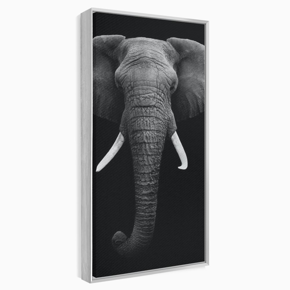 Tablou Canvas Premium, LuxCanva® M1310, Axa Puterii, Alb si Negru, Portret, Impunator, Realist, Elefant, Colti, Trompa, Animal, Simplitate, Vertical, Birou, Living, Camera Copil
