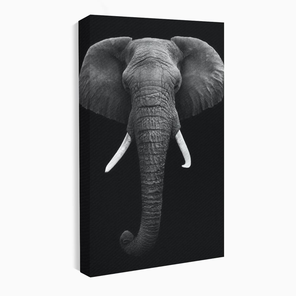 Tablou Canvas Premium, LuxCanva® M1310, Axa Puterii, Alb si Negru, Portret, Impunator, Realist, Elefant, Colti, Trompa, Animal, Simplitate, Vertical, Birou, Living, Camera Copil