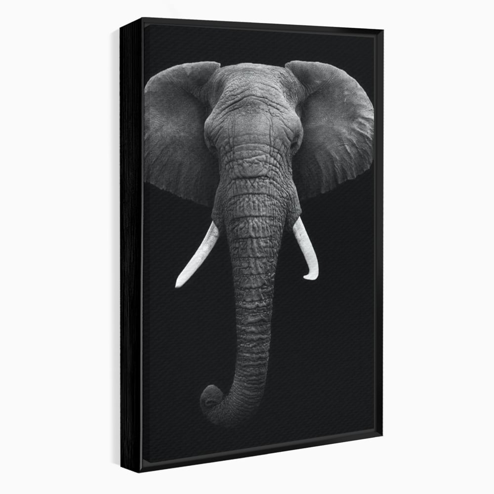 Tablou Canvas Premium, LuxCanva® M1310, Axa Puterii, Alb si Negru, Portret, Impunator, Realist, Elefant, Colti, Trompa, Animal, Simplitate, Vertical, Birou, Living, Camera Copil