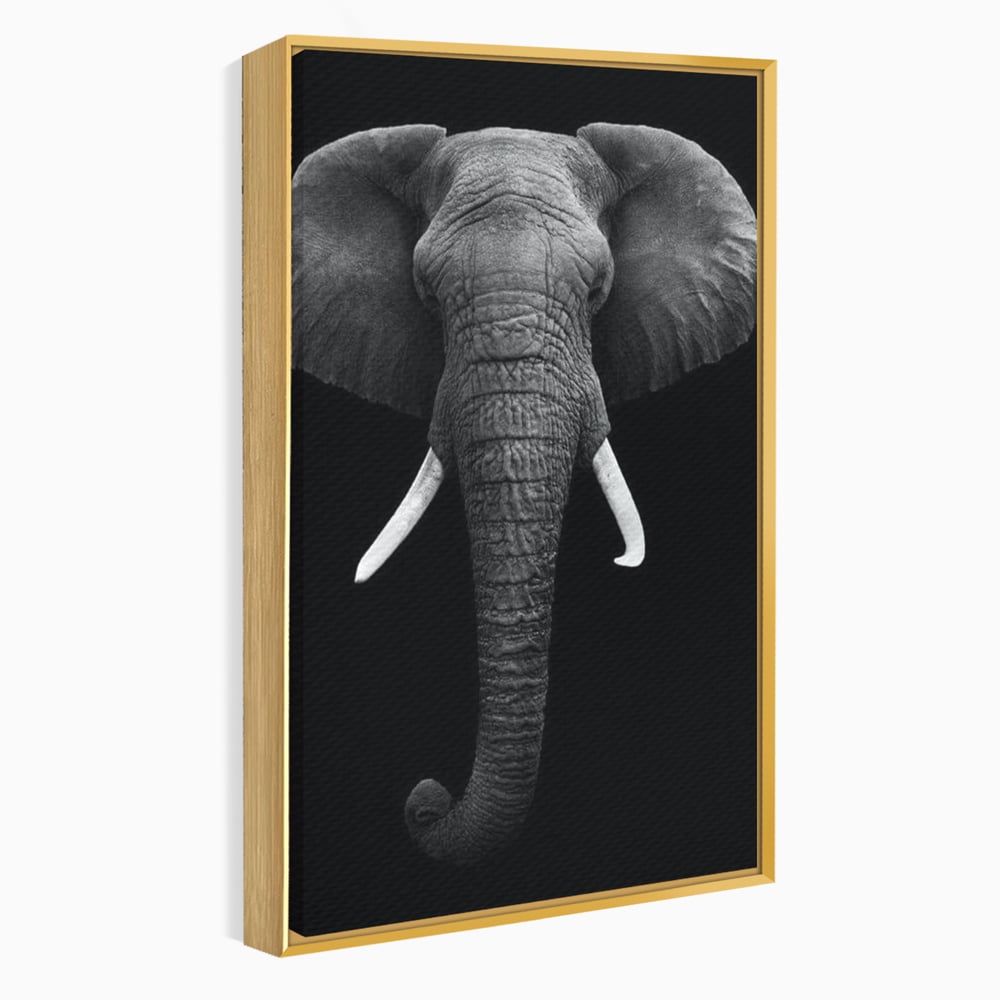Tablou Canvas Premium, LuxCanva® M1310, Axa Puterii, Alb si Negru, Portret, Impunator, Realist, Elefant, Colti, Trompa, Animal, Simplitate, Vertical, Birou, Living, Camera Copil