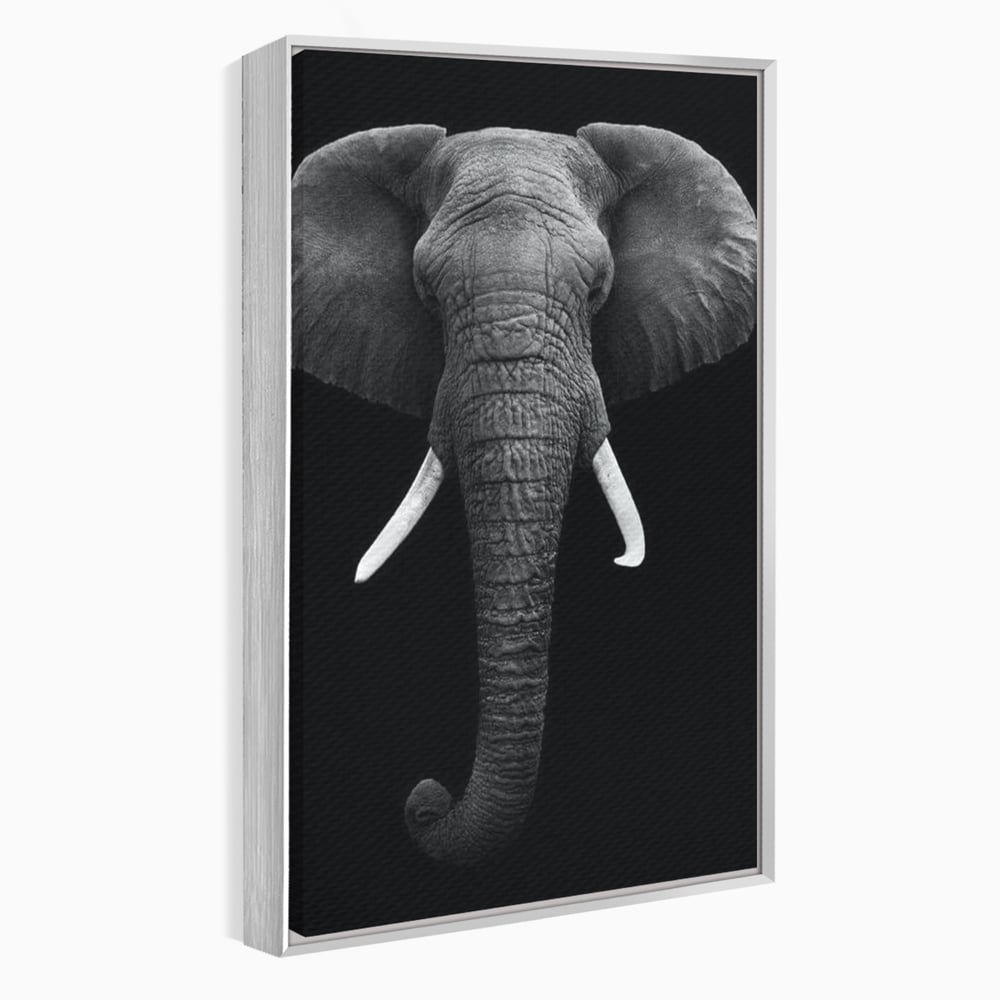 Tablou Canvas Premium, LuxCanva® M1310, Axa Puterii, Alb si Negru, Portret, Impunator, Realist, Elefant, Colti, Trompa, Animal, Simplitate, Vertical, Birou, Living, Camera Copil