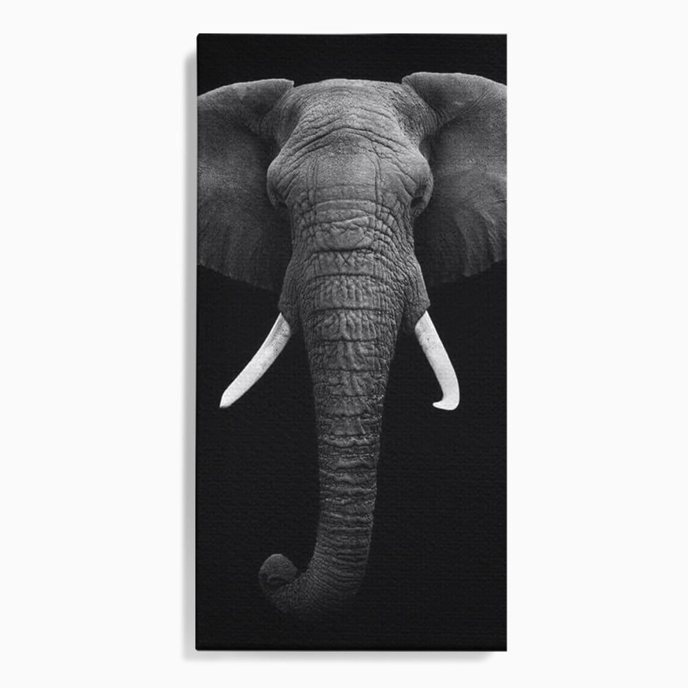 Tablou Canvas Premium, LuxCanva® M1310, Axa Puterii, Alb si Negru, Portret, Impunator, Realist, Elefant, Colti, Trompa, Animal, Simplitate, Vertical, Birou, Living, Camera Copil