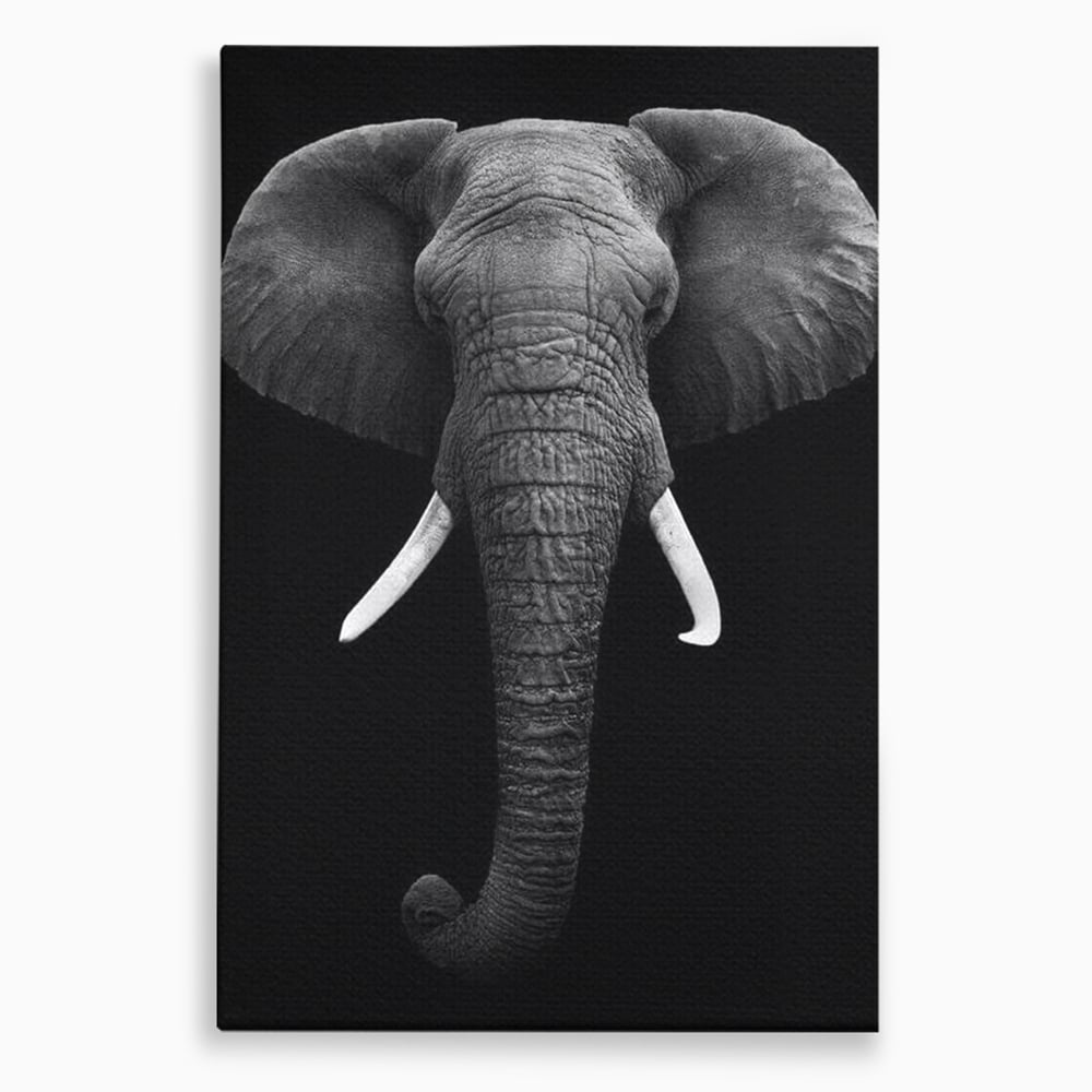 Tablou Canvas Premium, LuxCanva® M1310, Axa Puterii, Alb si Negru, Portret, Impunator, Realist, Elefant, Colti, Trompa, Animal, Simplitate, Vertical, Birou, Living, Camera Copil
