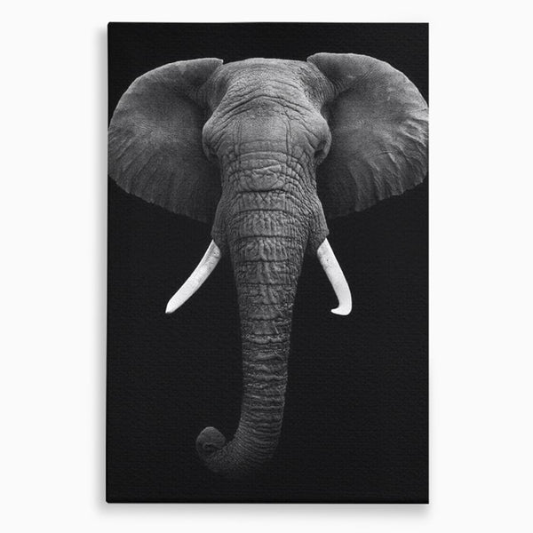 Tablou Canvas Premium, LuxCanva® M1310, Axa Puterii, Alb si Negru, Portret, Impunator, Realist, Elefant, Colti, Trompa, Animal, Simplitate, Vertical, Birou, Living, Camera Copil