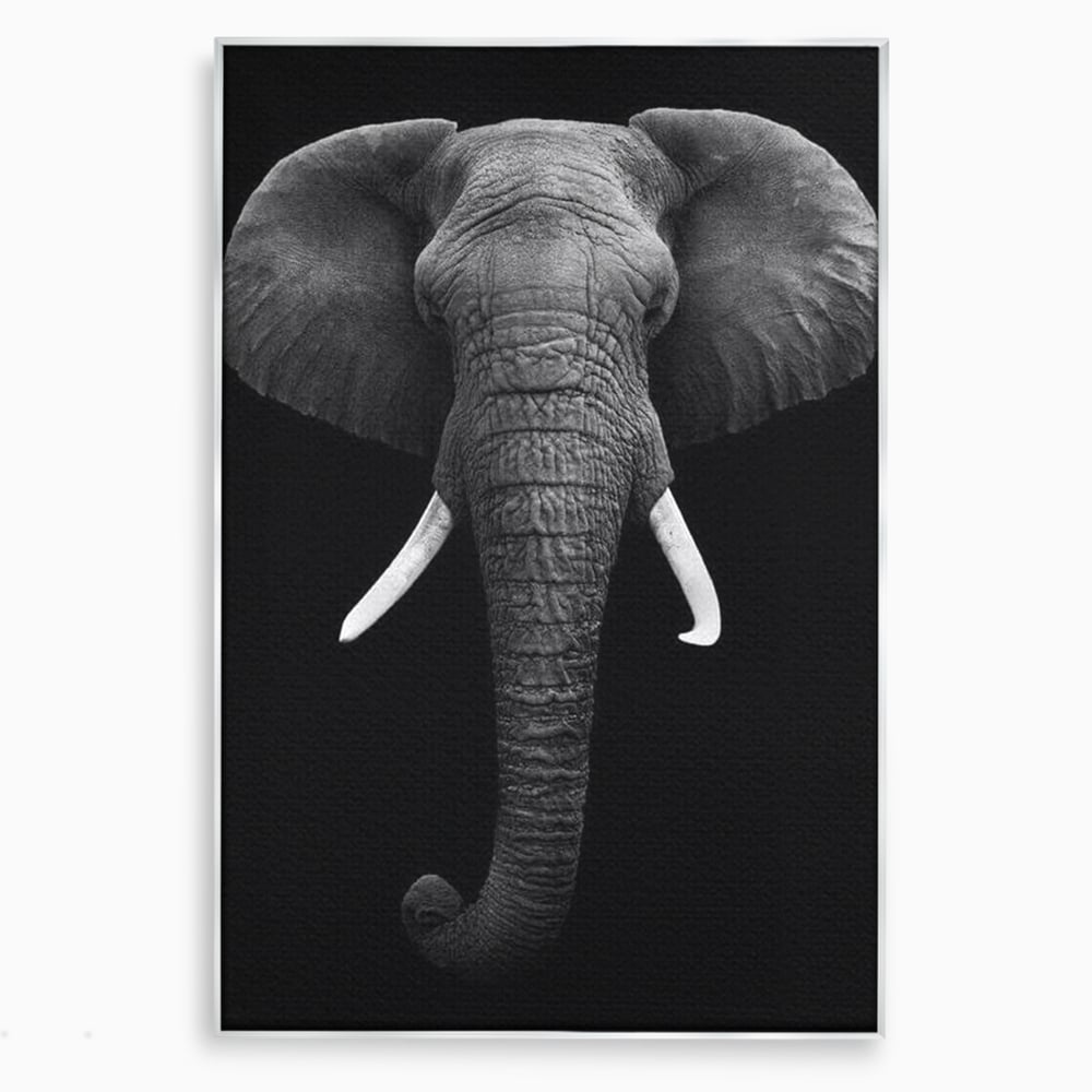 Tablou Canvas Premium, LuxCanva® M1310, Axa Puterii, Alb si Negru, Portret, Impunator, Realist, Elefant, Colti, Trompa, Animal, Simplitate, Vertical, Birou, Living, Camera Copil