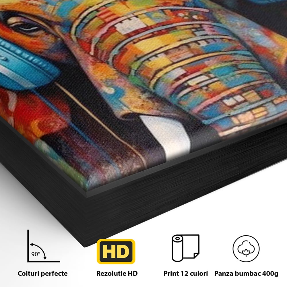 Leinwand Wandbilder Premium, LuxCanva® M1312, Savannah Melody, Funky, Rhythmus, Musik, Elefant, Truhe, Abstrakt, Abstrakt, Malerei, Graffiti, Urban, Tribal, Bunt, Modern, Urban, Büro, Wohnen, Kinderzimmer