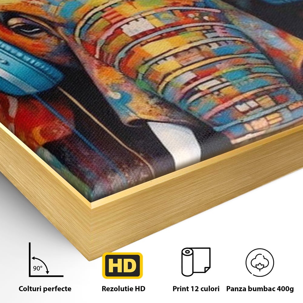 Leinwand Wandbilder Premium, LuxCanva® M1312, Savannah Melody, Funky, Rhythmus, Musik, Elefant, Truhe, Abstrakt, Abstrakt, Malerei, Graffiti, Urban, Tribal, Bunt, Modern, Urban, Büro, Wohnen, Kinderzimmer