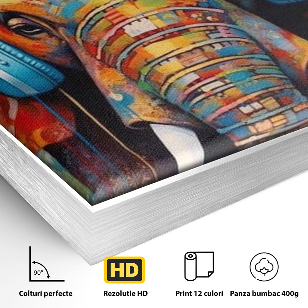 Leinwand Wandbilder Premium, LuxCanva® M1312, Savannah Melody, Funky, Rhythmus, Musik, Elefant, Truhe, Abstrakt, Abstrakt, Malerei, Graffiti, Urban, Tribal, Bunt, Modern, Urban, Büro, Wohnen, Kinderzimmer