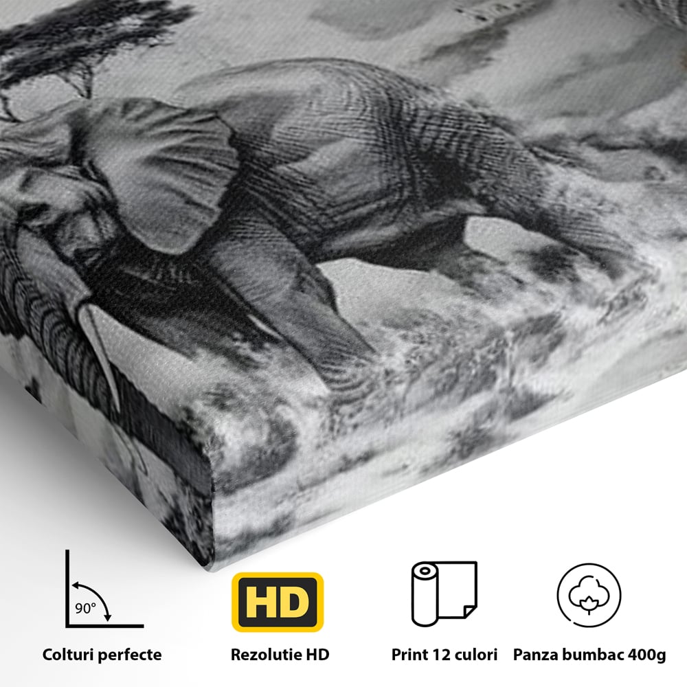 Tablou Canvas Premium, LuxCanva® M1320, Regii Savanei, Leu, Elefant, Africa, Savana, Safari, Natura, Putere, Abstract, Salbaticie, Contrast, Animale, Birou, Living, Camera Copil