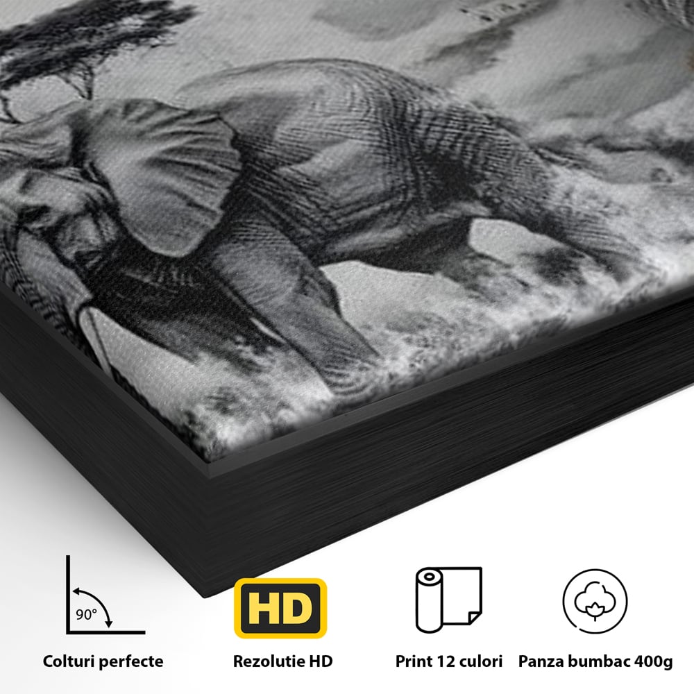 Tablou Canvas Premium, LuxCanva® M1320, Regii Savanei, Leu, Elefant, Africa, Savana, Safari, Natura, Putere, Abstract, Salbaticie, Contrast, Animale, Birou, Living, Camera Copil