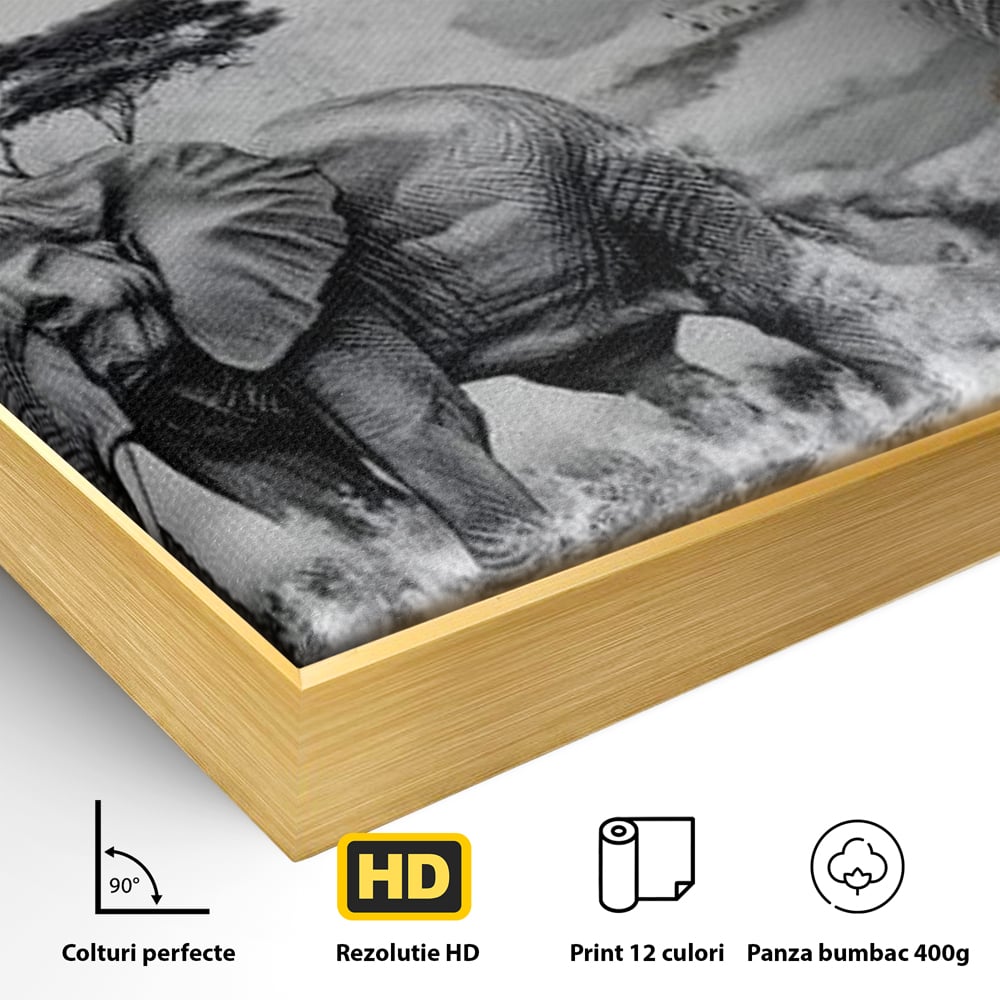 Tablou Canvas Premium, LuxCanva® M1320, Regii Savanei, Leu, Elefant, Africa, Savana, Safari, Natura, Putere, Abstract, Salbaticie, Contrast, Animale, Birou, Living, Camera Copil