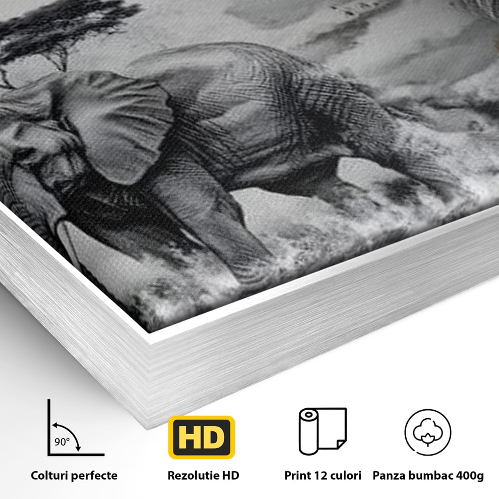 Tablou Canvas Premium, LuxCanva® M1320, Regii Savanei, Leu, Elefant, Africa, Savana, Safari, Natura, Putere, Abstract, Salbaticie, Contrast, Animale, Birou, Living, Camera Copil