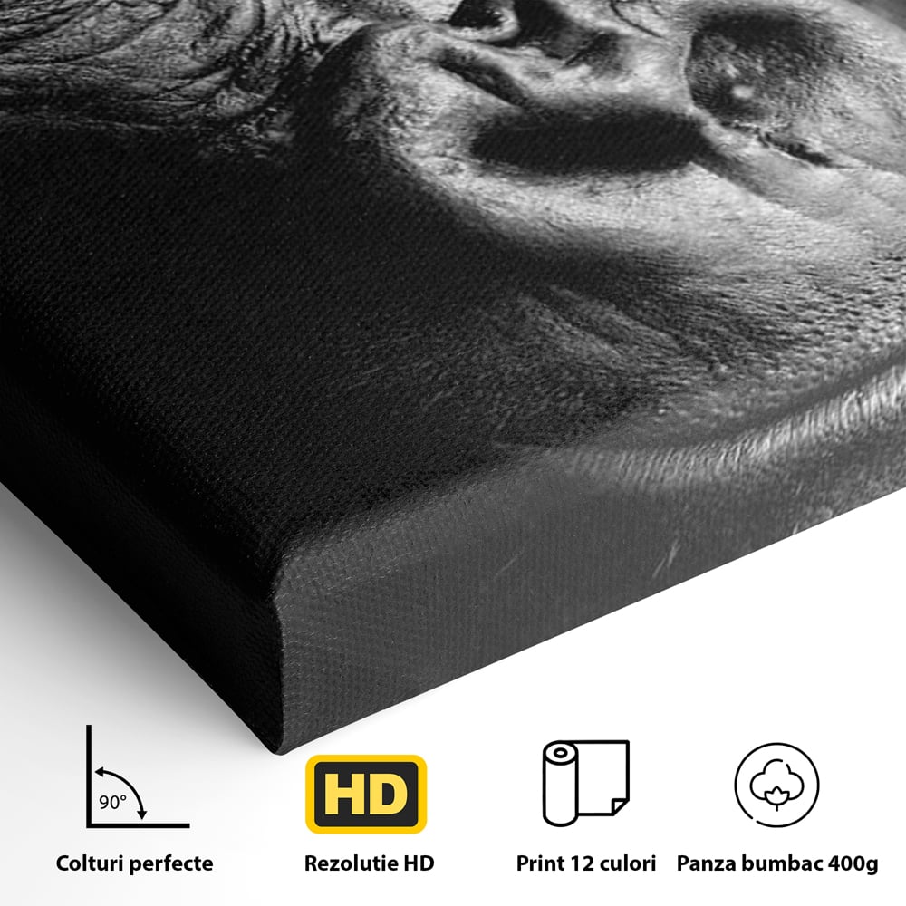 Leinwandbilder Premium, LuxCanva® M1325, Urteil im Schatten, Gorilla, Porträt, schwarz-weiß, Primat, Primaten, Blick, Wildtiere, Tiere, dunkel, realistisch, Büro, Wohnzimmer, Kinderzimmer