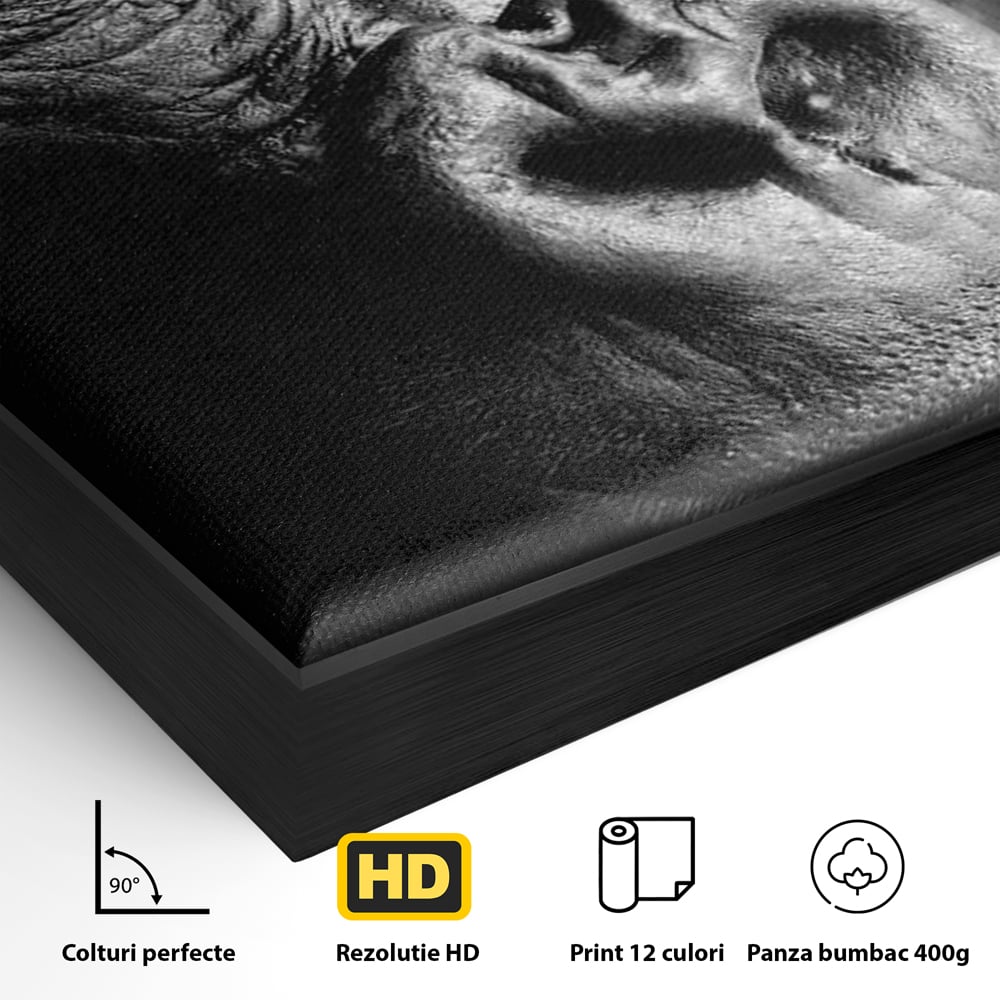 Leinwandbilder Premium, LuxCanva® M1325, Urteil im Schatten, Gorilla, Porträt, schwarz-weiß, Primat, Primaten, Blick, Wildtiere, Tiere, dunkel, realistisch, Büro, Wohnzimmer, Kinderzimmer