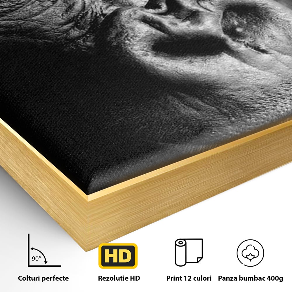 Leinwandbilder Premium, LuxCanva® M1325, Urteil im Schatten, Gorilla, Porträt, schwarz-weiß, Primat, Primaten, Blick, Wildtiere, Tiere, dunkel, realistisch, Büro, Wohnzimmer, Kinderzimmer