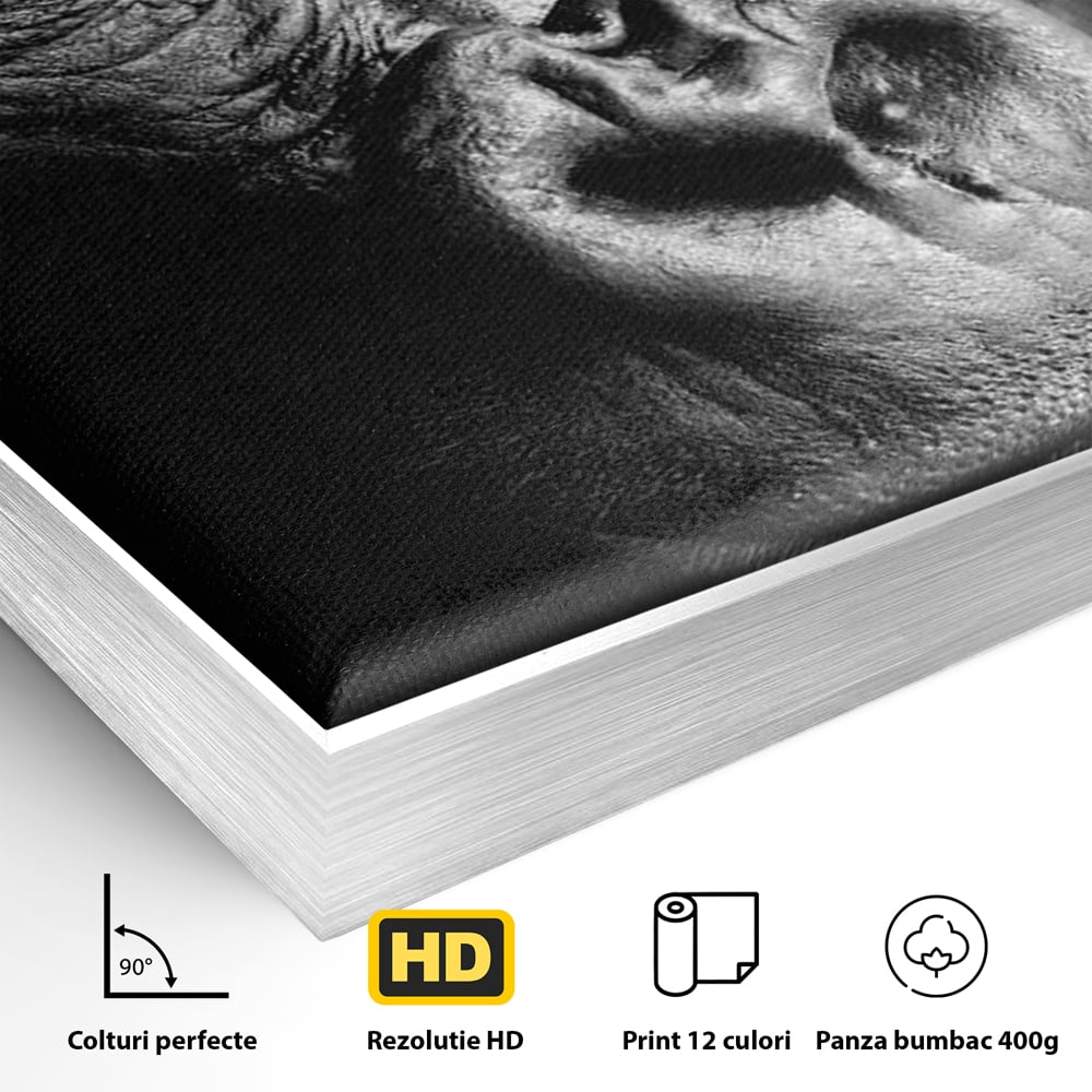 Leinwandbilder Premium, LuxCanva® M1325, Urteil im Schatten, Gorilla, Porträt, schwarz-weiß, Primat, Primaten, Blick, Wildtiere, Tiere, dunkel, realistisch, Büro, Wohnzimmer, Kinderzimmer