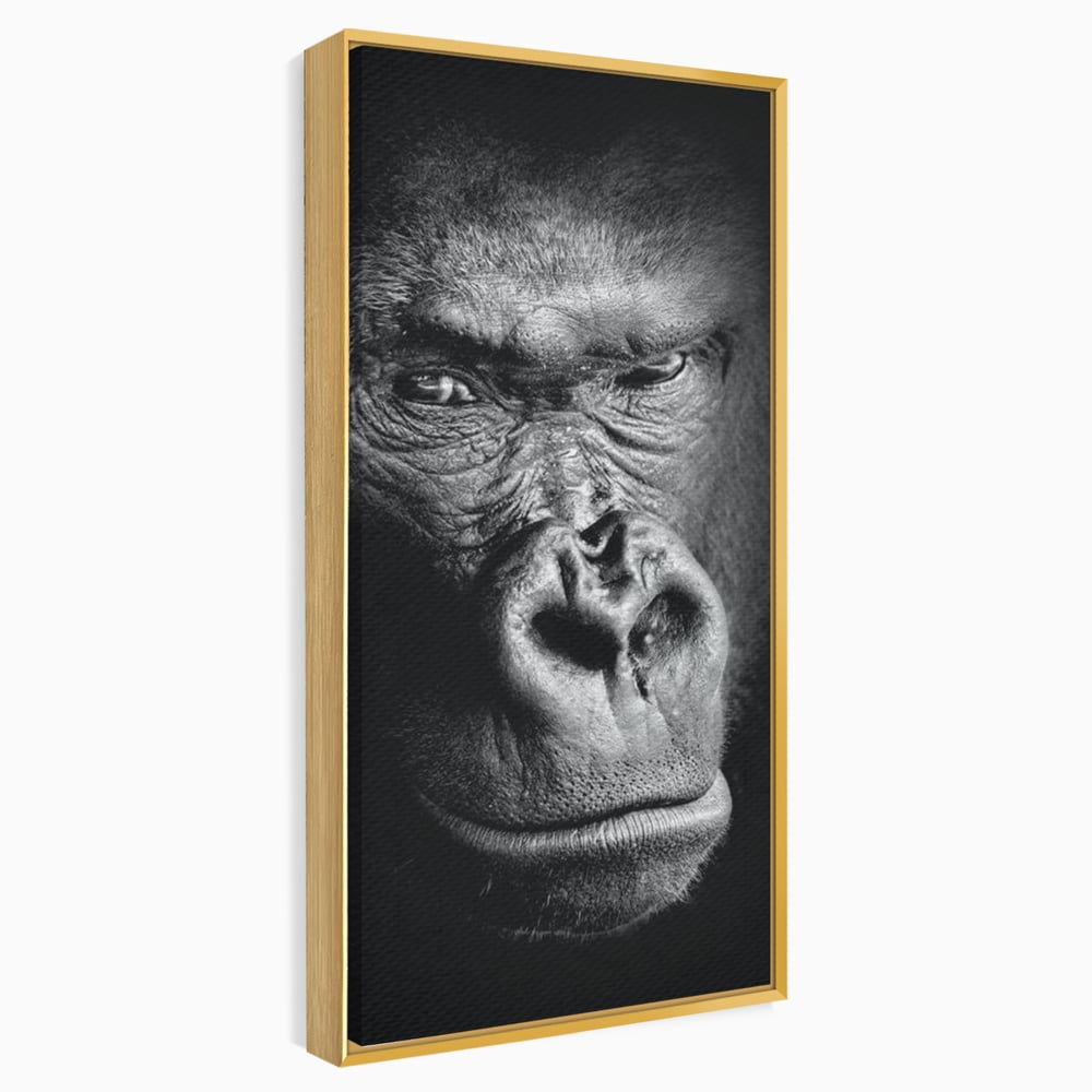 Leinwandbilder Premium, LuxCanva® M1325, Urteil im Schatten, Gorilla, Porträt, schwarz-weiß, Primat, Primaten, Blick, Wildtiere, Tiere, dunkel, realistisch, Büro, Wohnzimmer, Kinderzimmer