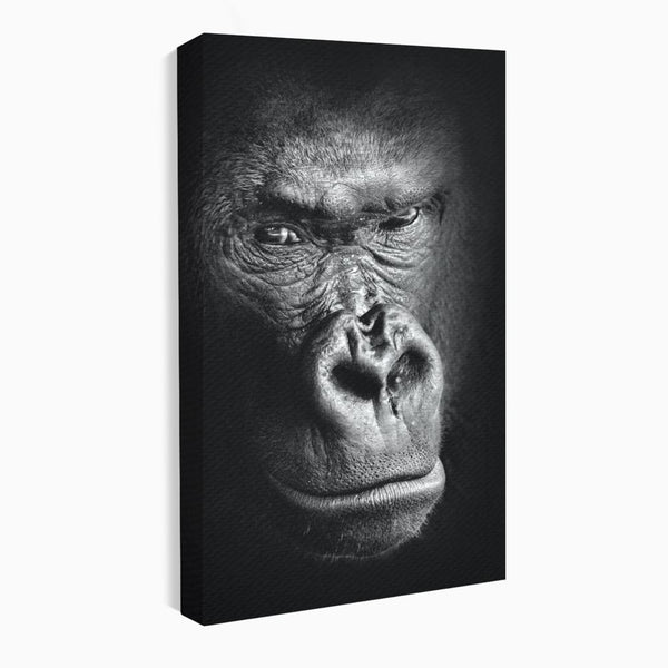 Leinwandbilder Premium, LuxCanva® M1325, Urteil im Schatten, Gorilla, Porträt, schwarz-weiß, Primat, Primaten, Blick, Wildtiere, Tiere, dunkel, realistisch, Büro, Wohnzimmer, Kinderzimmer