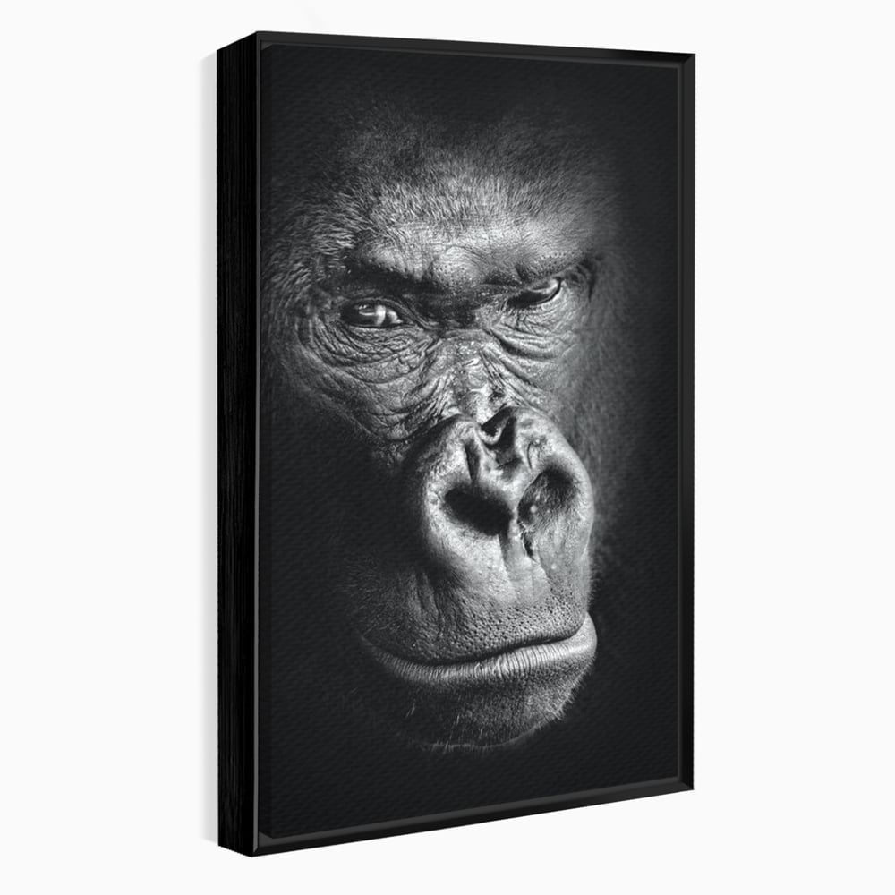 Leinwandbilder Premium, LuxCanva® M1325, Urteil im Schatten, Gorilla, Porträt, schwarz-weiß, Primat, Primaten, Blick, Wildtiere, Tiere, dunkel, realistisch, Büro, Wohnzimmer, Kinderzimmer