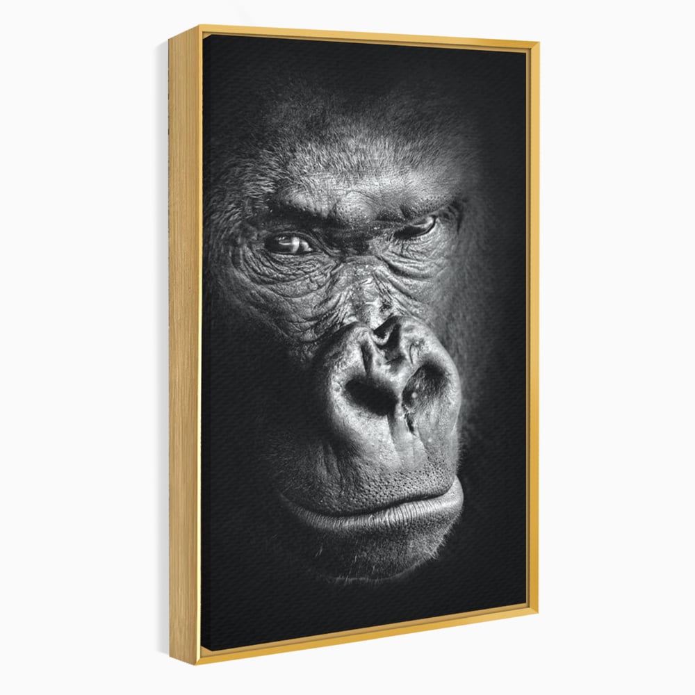 Leinwandbilder Premium, LuxCanva® M1325, Urteil im Schatten, Gorilla, Porträt, schwarz-weiß, Primat, Primaten, Blick, Wildtiere, Tiere, dunkel, realistisch, Büro, Wohnzimmer, Kinderzimmer