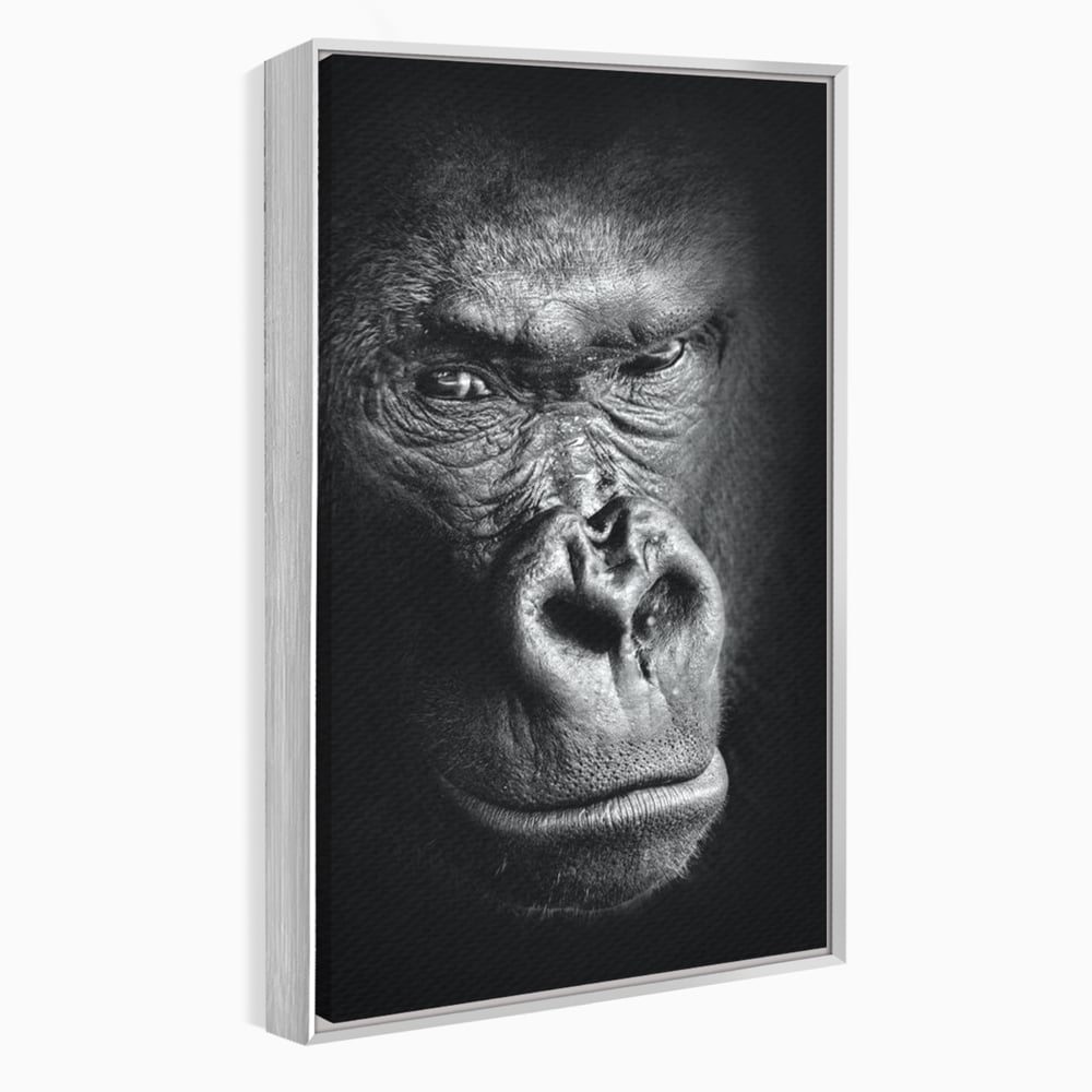 Leinwandbilder Premium, LuxCanva® M1325, Urteil im Schatten, Gorilla, Porträt, schwarz-weiß, Primat, Primaten, Blick, Wildtiere, Tiere, dunkel, realistisch, Büro, Wohnzimmer, Kinderzimmer
