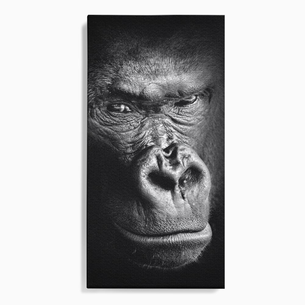Leinwandbilder Premium, LuxCanva® M1325, Urteil im Schatten, Gorilla, Porträt, schwarz-weiß, Primat, Primaten, Blick, Wildtiere, Tiere, dunkel, realistisch, Büro, Wohnzimmer, Kinderzimmer