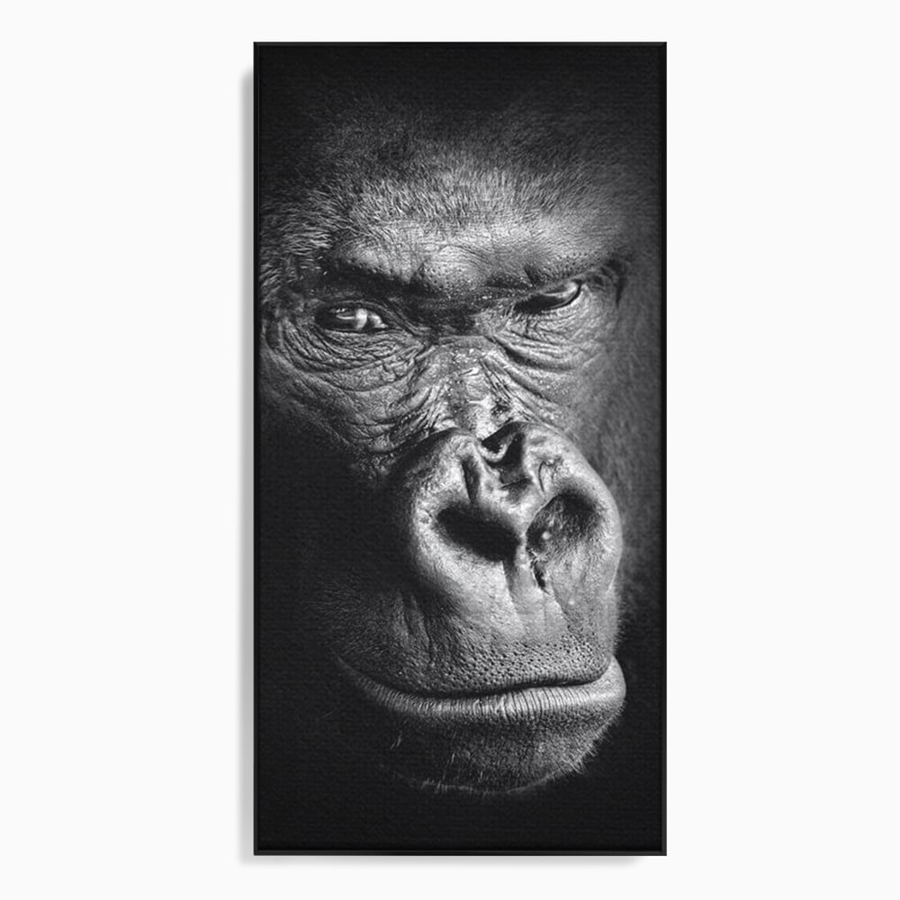 Leinwandbilder Premium, LuxCanva® M1325, Urteil im Schatten, Gorilla, Porträt, schwarz-weiß, Primat, Primaten, Blick, Wildtiere, Tiere, dunkel, realistisch, Büro, Wohnzimmer, Kinderzimmer