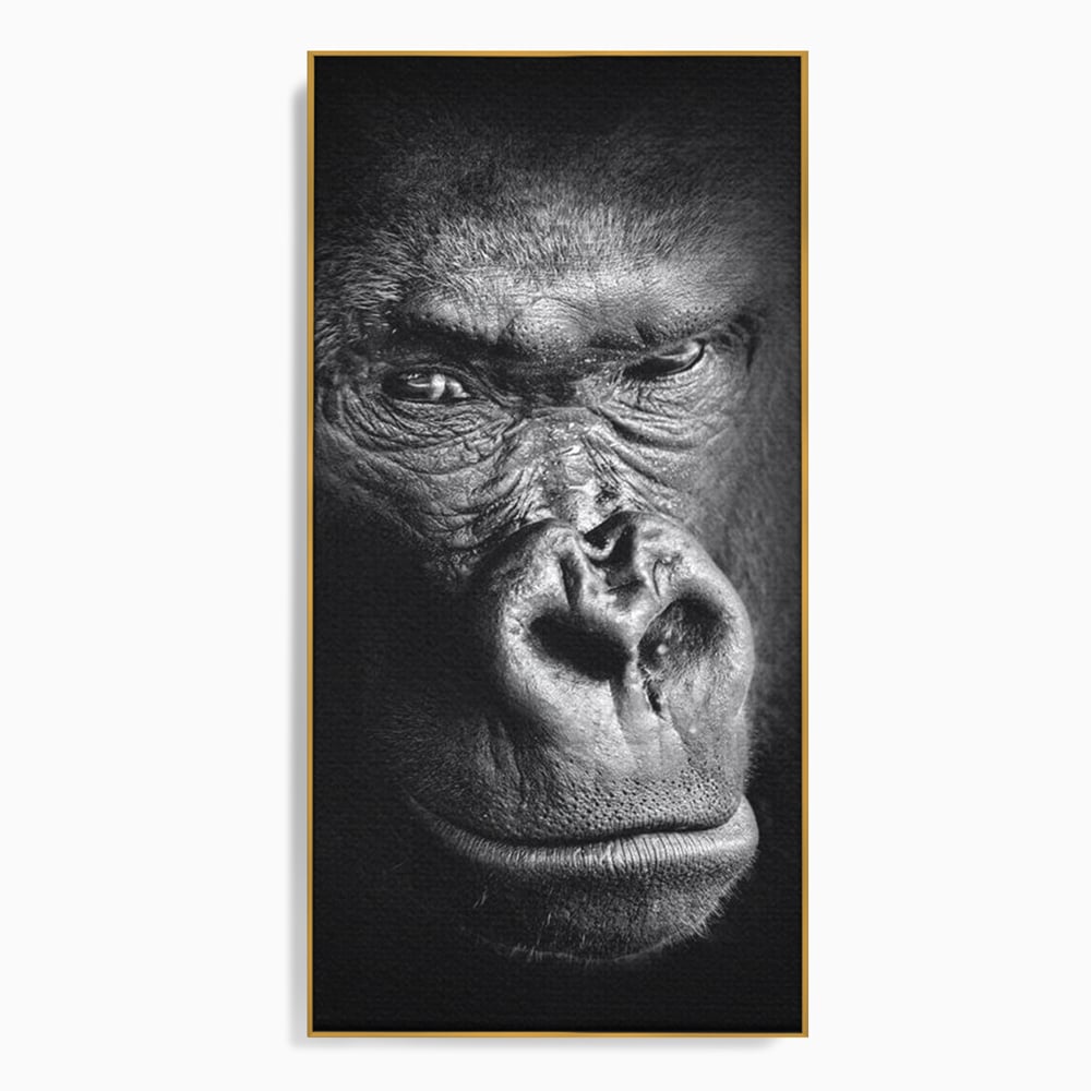 Leinwandbilder Premium, LuxCanva® M1325, Urteil im Schatten, Gorilla, Porträt, schwarz-weiß, Primat, Primaten, Blick, Wildtiere, Tiere, dunkel, realistisch, Büro, Wohnzimmer, Kinderzimmer