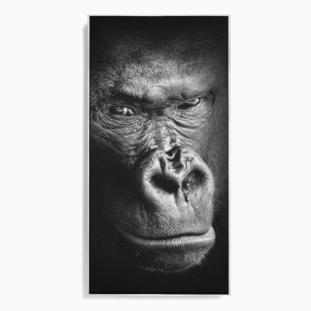Leinwandbilder Premium, LuxCanva® M1325, Urteil im Schatten, Gorilla, Porträt, schwarz-weiß, Primat, Primaten, Blick, Wildtiere, Tiere, dunkel, realistisch, Büro, Wohnzimmer, Kinderzimmer