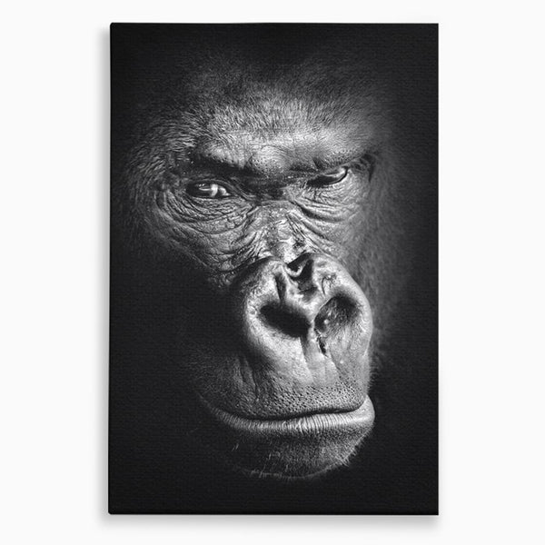 Leinwandbilder Premium, LuxCanva® M1325, Urteil im Schatten, Gorilla, Porträt, schwarz-weiß, Primat, Primaten, Blick, Wildtiere, Tiere, dunkel, realistisch, Büro, Wohnzimmer, Kinderzimmer