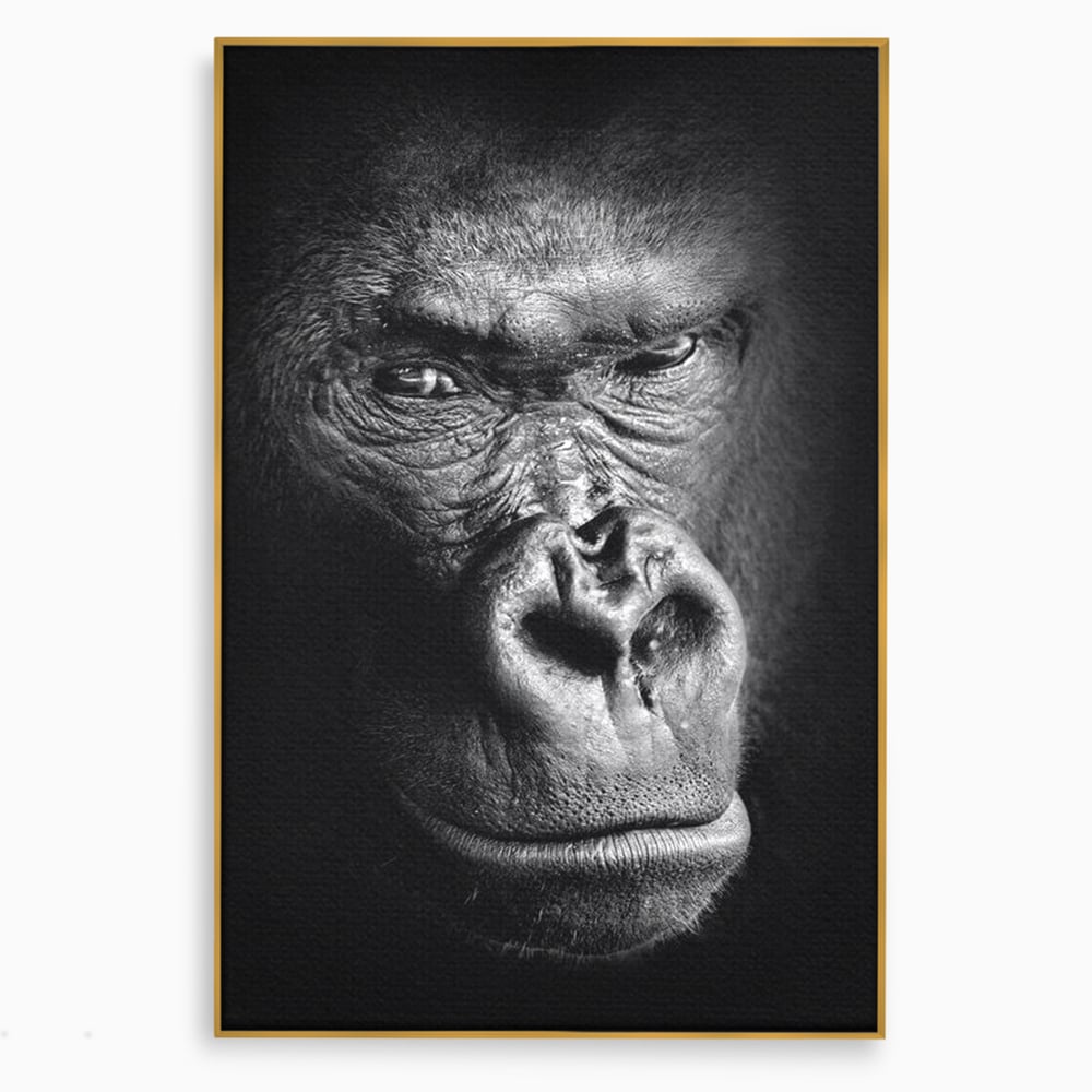 Leinwandbilder Premium, LuxCanva® M1325, Urteil im Schatten, Gorilla, Porträt, schwarz-weiß, Primat, Primaten, Blick, Wildtiere, Tiere, dunkel, realistisch, Büro, Wohnzimmer, Kinderzimmer