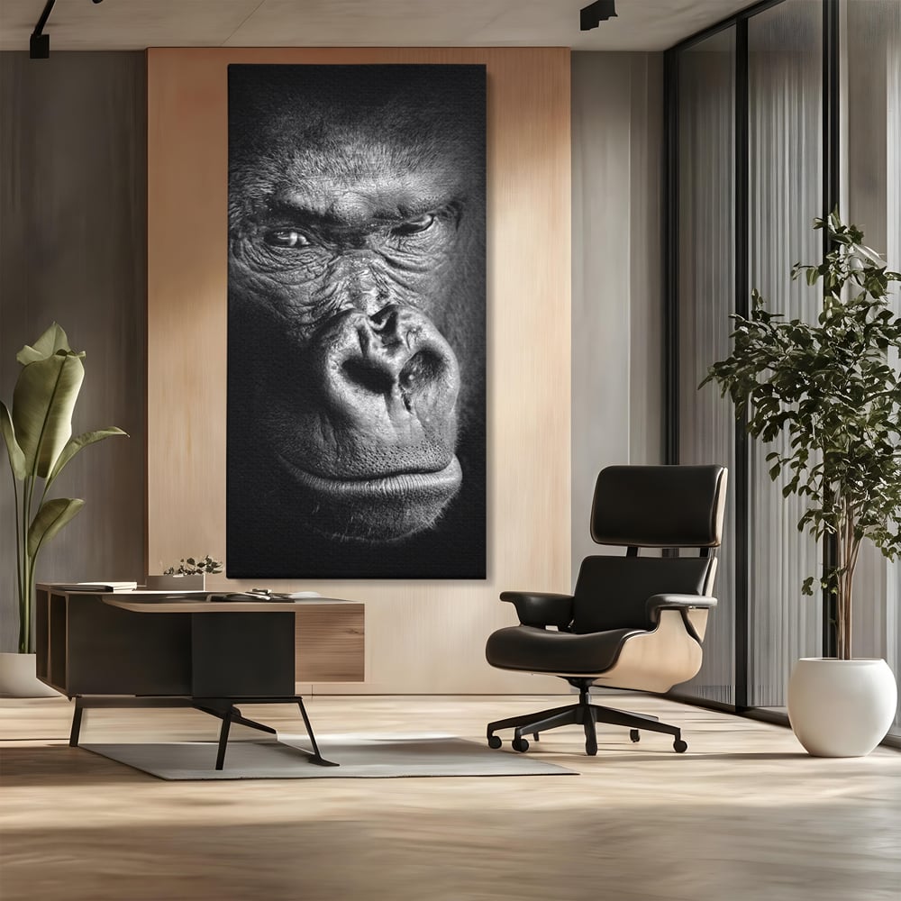 Leinwandbilder Premium, LuxCanva® M1325, Urteil im Schatten, Gorilla, Porträt, schwarz-weiß, Primat, Primaten, Blick, Wildtiere, Tiere, dunkel, realistisch, Büro, Wohnzimmer, Kinderzimmer