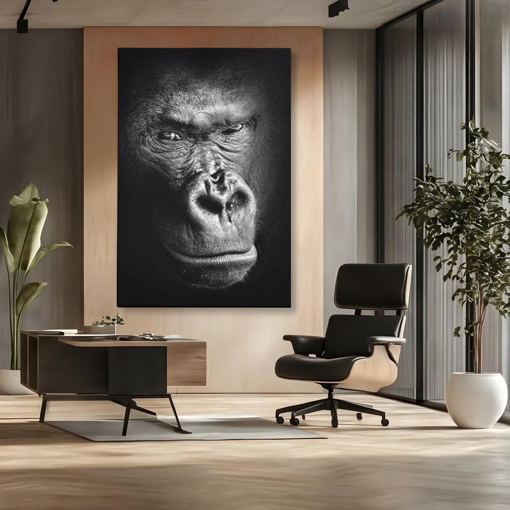 Leinwandbilder Premium, LuxCanva® M1325, Urteil im Schatten, Gorilla, Porträt, schwarz-weiß, Primat, Primaten, Blick, Wildtiere, Tiere, dunkel, realistisch, Büro, Wohnzimmer, Kinderzimmer
