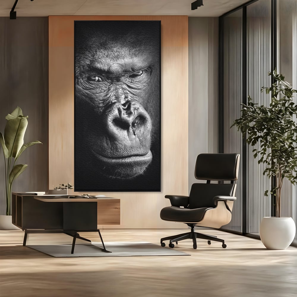 Leinwandbilder Premium, LuxCanva® M1325, Urteil im Schatten, Gorilla, Porträt, schwarz-weiß, Primat, Primaten, Blick, Wildtiere, Tiere, dunkel, realistisch, Büro, Wohnzimmer, Kinderzimmer