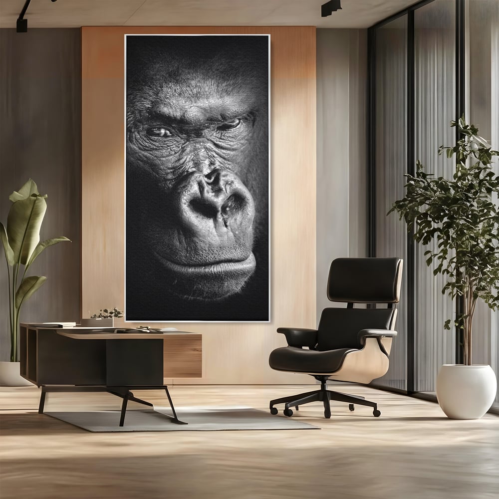 Leinwandbilder Premium, LuxCanva® M1325, Urteil im Schatten, Gorilla, Porträt, schwarz-weiß, Primat, Primaten, Blick, Wildtiere, Tiere, dunkel, realistisch, Büro, Wohnzimmer, Kinderzimmer