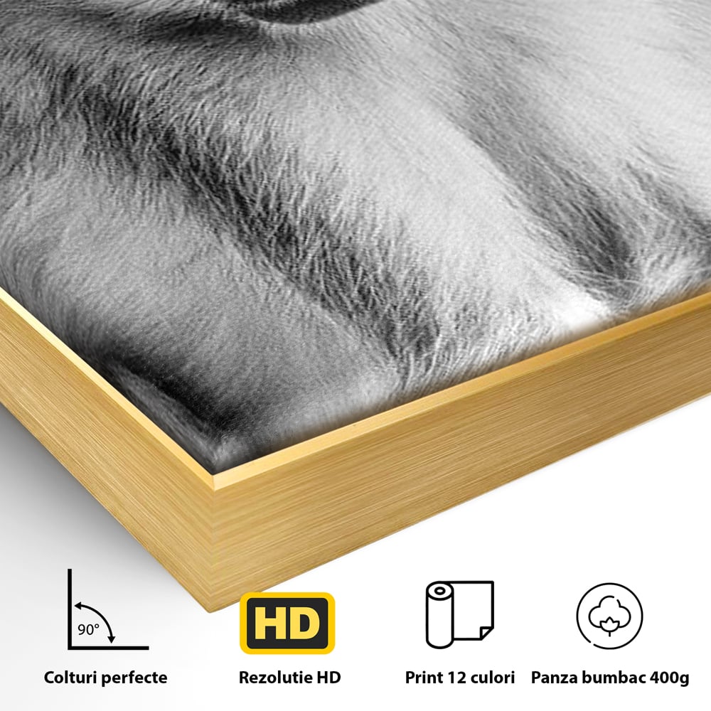 Tablou Canvas Premium, LuxCanva® M1329, Micul Gardian al Savanei, Maimuta, Alb si Negru, Jungla, Chip, Primata, Inocenta, Realist, Animal, Fotografie, Birou, Living, Camera Copil