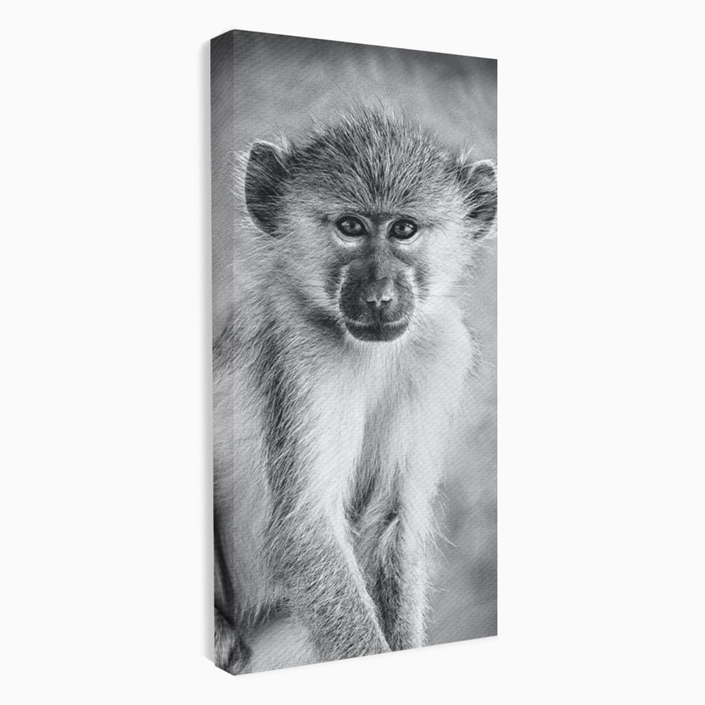 Tablou Canvas Premium, LuxCanva® M1329, Micul Gardian al Savanei, Maimuta, Alb si Negru, Jungla, Chip, Primata, Inocenta, Realist, Animal, Fotografie, Birou, Living, Camera Copil