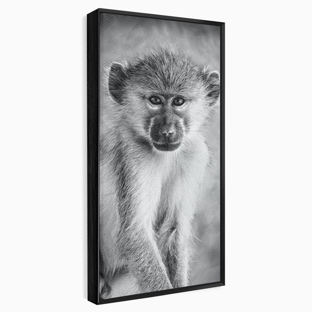 Tablou Canvas Premium, LuxCanva® M1329, Micul Gardian al Savanei, Maimuta, Alb si Negru, Jungla, Chip, Primata, Inocenta, Realist, Animal, Fotografie, Birou, Living, Camera Copil