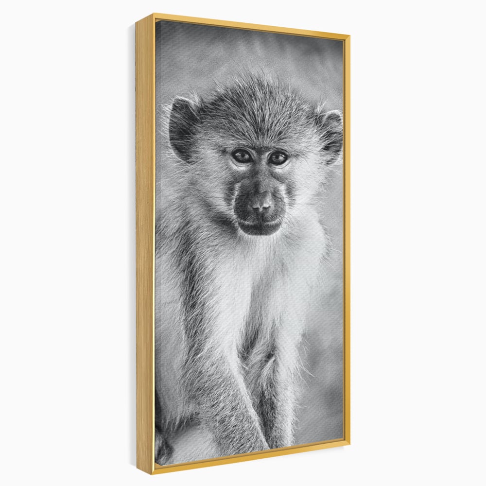 Tablou Canvas Premium, LuxCanva® M1329, Micul Gardian al Savanei, Maimuta, Alb si Negru, Jungla, Chip, Primata, Inocenta, Realist, Animal, Fotografie, Birou, Living, Camera Copil