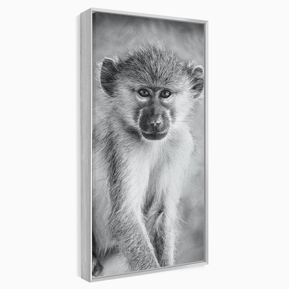 Tablou Canvas Premium, LuxCanva® M1329, Micul Gardian al Savanei, Maimuta, Alb si Negru, Jungla, Chip, Primata, Inocenta, Realist, Animal, Fotografie, Birou, Living, Camera Copil