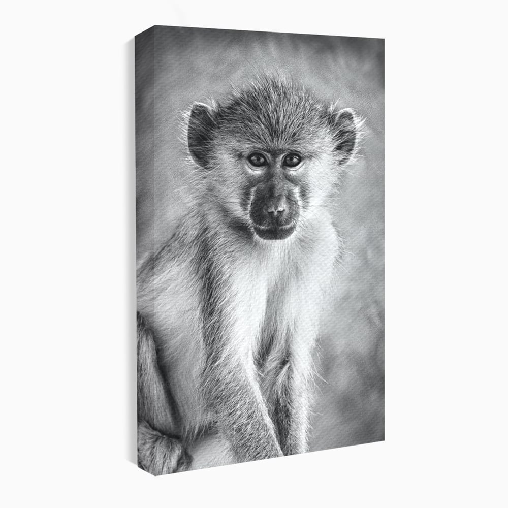 Tablou Canvas Premium, LuxCanva® M1329, Micul Gardian al Savanei, Maimuta, Alb si Negru, Jungla, Chip, Primata, Inocenta, Realist, Animal, Fotografie, Birou, Living, Camera Copil