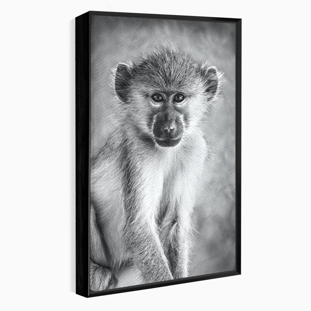 Tablou Canvas Premium, LuxCanva® M1329, Micul Gardian al Savanei, Maimuta, Alb si Negru, Jungla, Chip, Primata, Inocenta, Realist, Animal, Fotografie, Birou, Living, Camera Copil